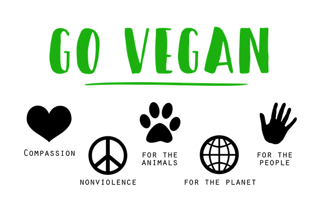 Wat is veganisme 1