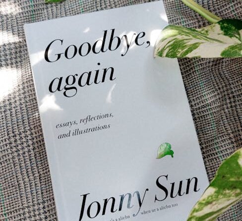 Essays over de organisatorische context van mentale gezondheidsproblemen