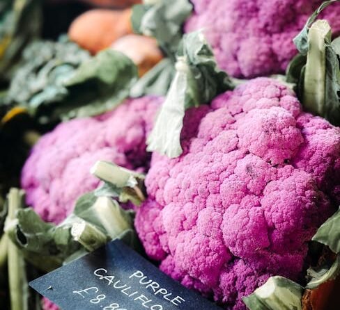 Vitamine B12 wat is dat?