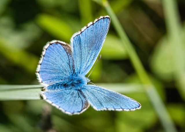 Afwegingskader voor biologische grenswaarden