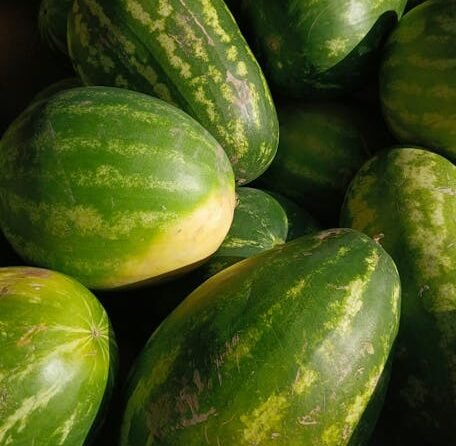 Vitamine B12 wat is dat?