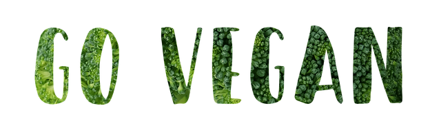 Wat is veganisme