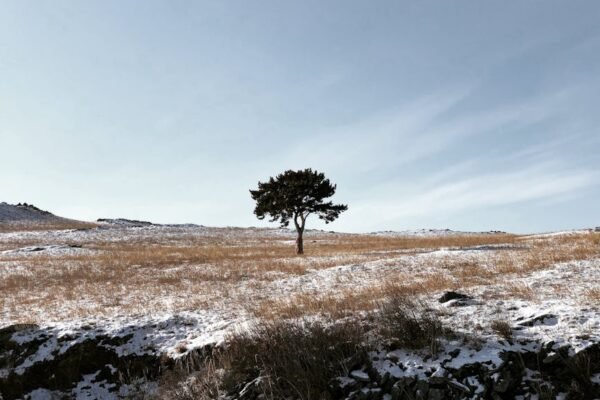 Rusland en Oekraïne bereiken akkoord over graanexport