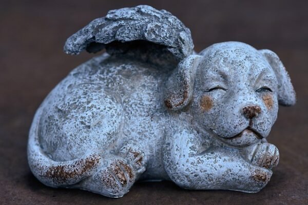 Baby overleden in AZC Ter Apel