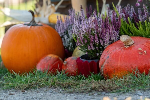 Maximaal een kwart van de Nederlandse bevolking heeft vitamine D-tekort in de winter