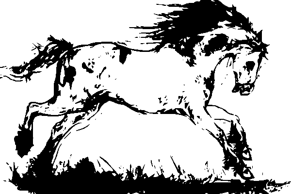 Steeds meer dodelijke valongelukken