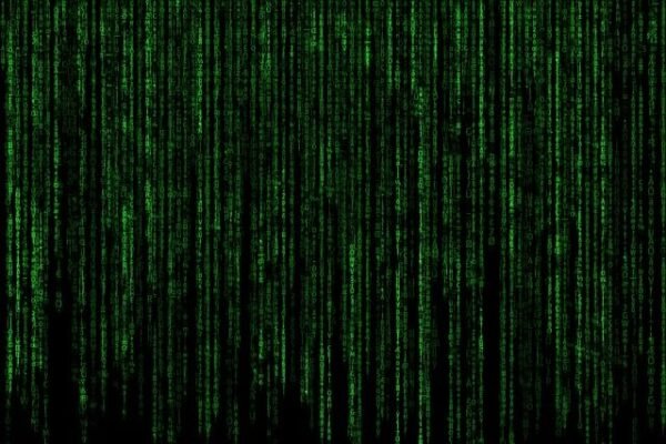 Effect tuberculose-screening immigranten en asielzoekers onderzocht