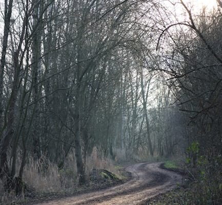 Formerende Belgische partijen bereiken akkoord: weg vrij voor regering-De Wever