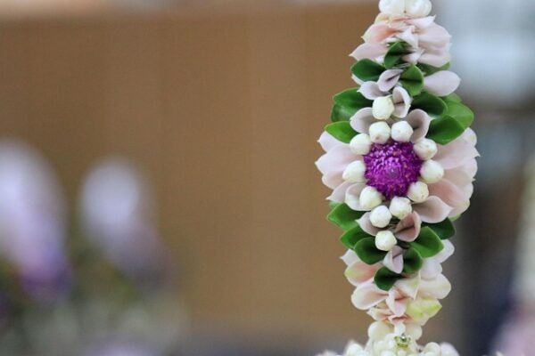 8,1 miljoen volwassenen geregistreerd als orgaandonor