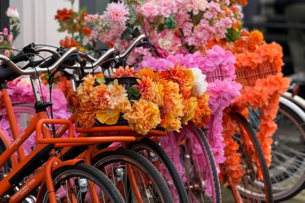 Ook in Amsterdam blijkt dat kwetsbare groepen een groter risico hebben om te overlijden door hitte