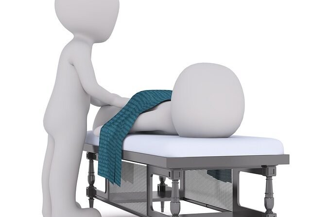 AZW_smal; Mobiliteitskenmerken van fysiotherapeuten naar SBI 1