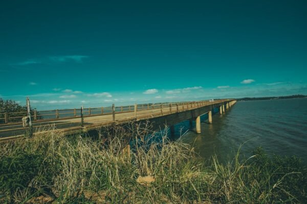 2025-02 Nieuwsbrief Wikimedia België