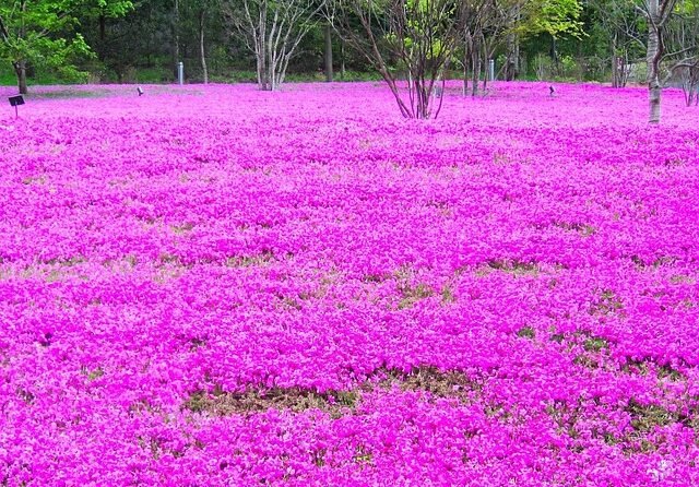 Stijging bedrijfsresultaat vier grootste zorgsectoren zet door 1 Stijging bedrijfsresultaat vier grootste zorgsectoren zet door 1