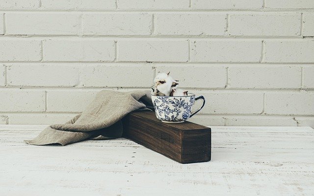 1 op de 10 mbo-bol-studenten ervaart discriminatie bij stage 1 1 op de 10 mbo-bol-studenten ervaart discriminatie bij stage 1