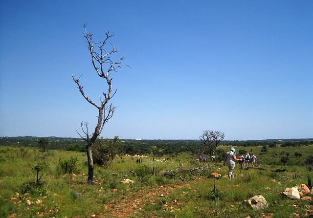 Zuid-Afrika: meer dan 40 doden bij busongeval