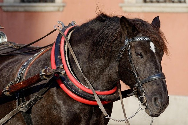 Bijna 6 op de 10 zorgmedewerkers ervaren agressie patiënten 1 Bijna 6 op de 10 zorgmedewerkers ervaren agressie patiënten 1