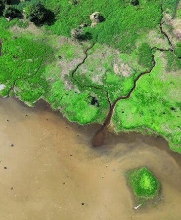 Welke biologische keurmerken zijn er 3 Welke biologische keurmerken zijn er