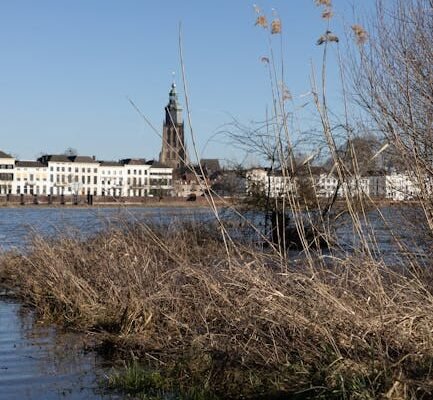 Typisch Nederlands voedsel