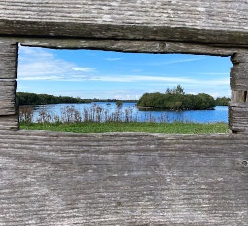 Typisch Nederlands voedsel