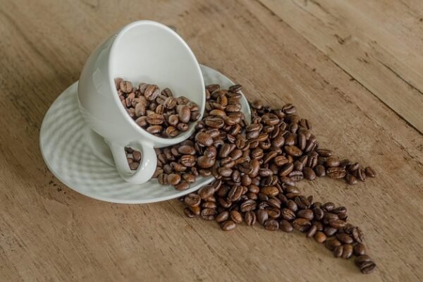 Goed ontbijten voor een sterke start