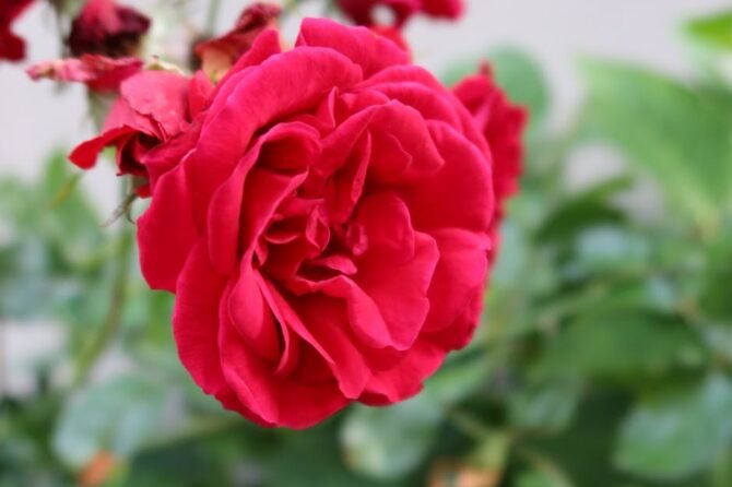 Rijksoverheid zet Nederlands eten op de kaart in bedrijfsrestaurant 2 Rijksoverheid zet Nederlands eten op de kaart in bedrijfsrestaurant