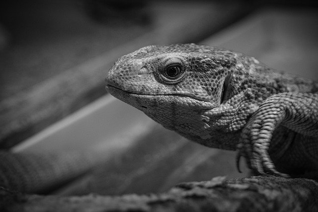 Monitor Nationaal Programma Heerlen-Noord, update 2026 1 Monitor Nationaal Programma Heerlen-Noord, update 2026