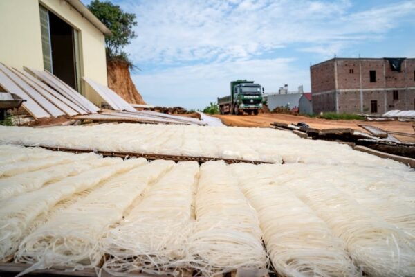 Methode in Omgevingswet voldoet voor berekenen hinder door blootstelling aan verschillende geluidsbronnen