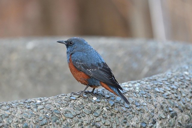 Methode in Omgevingswet voldoet voor berekenen hinder door blootstelling aan verschillende geluidsbronnen