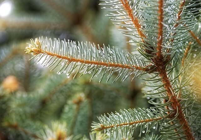 Bijna 6 op de 10 zorgmedewerkers ervaren agressie patiënten 1