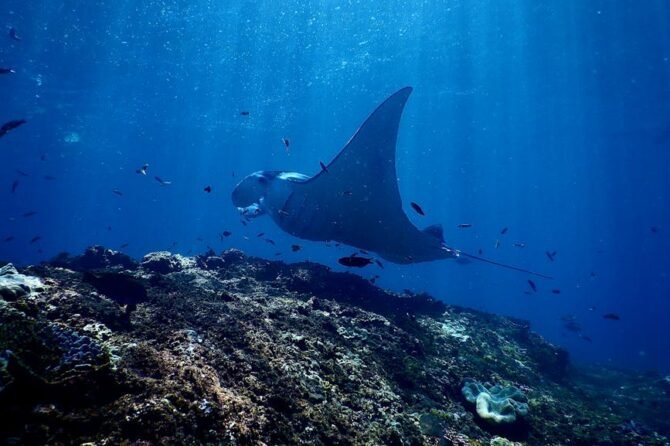 Mannen hebben vaker risicovolle seks, vrouwen doen vaker soa test 1