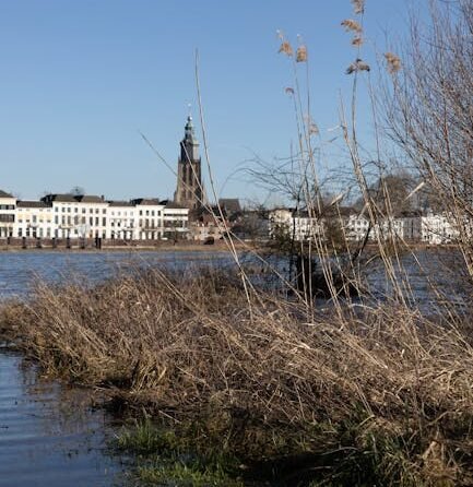 Typisch Nederlands voedsel 2 Typisch Nederlands voedsel