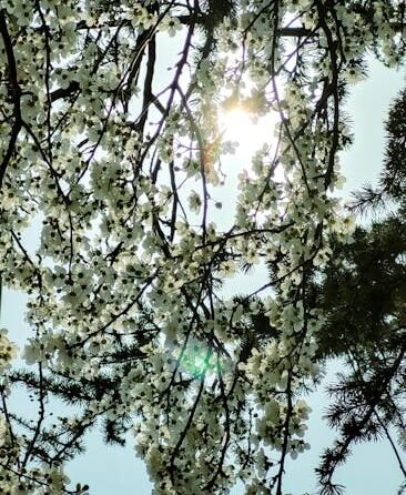 De lentezon gaat schijnen: geniet maar verbrand niet